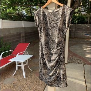 Ann Taylor Dress 6 black and cream cheetah print